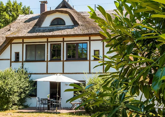 Windrose 09 Daire Ahrenshoop